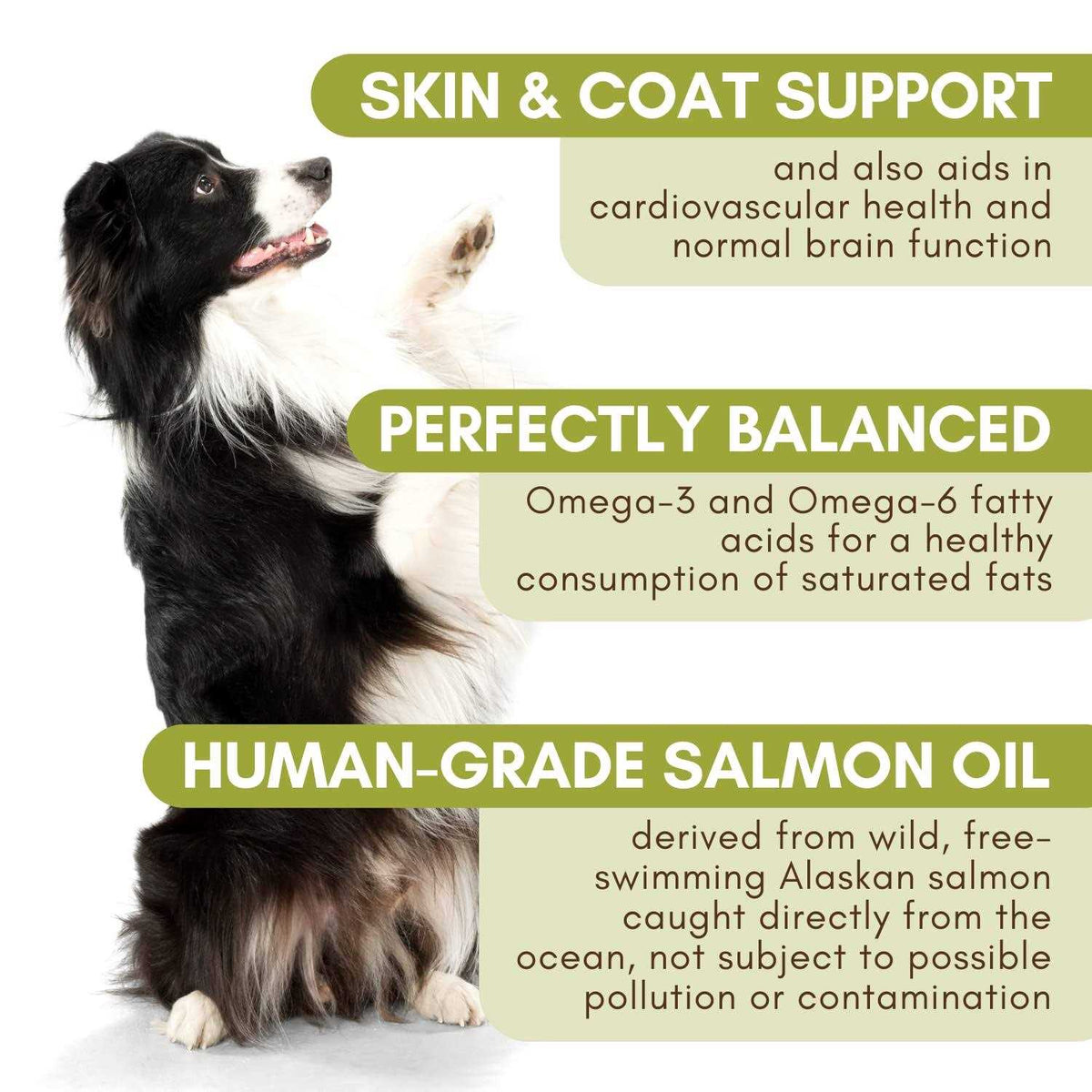 Salmon Oil W12416