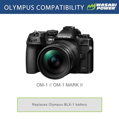 Battery (2-Pack) and USB-C Dual Charger L88560
