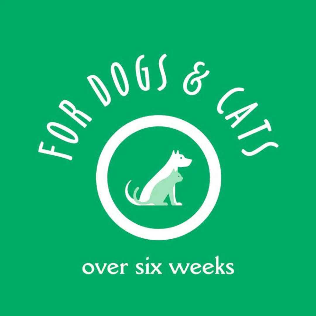 Facial Wipes for Dogs & Cats L5328