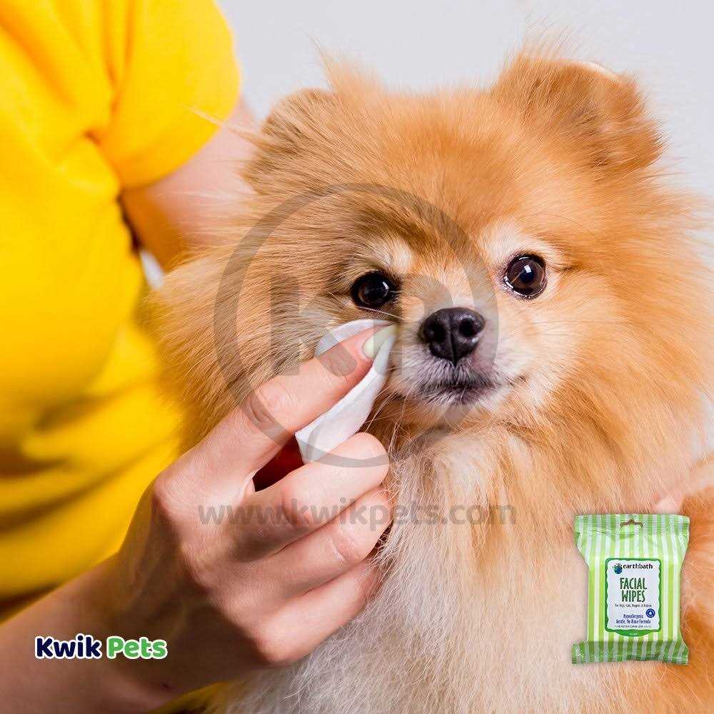 Facial Wipes for Dogs & Cats L5328
