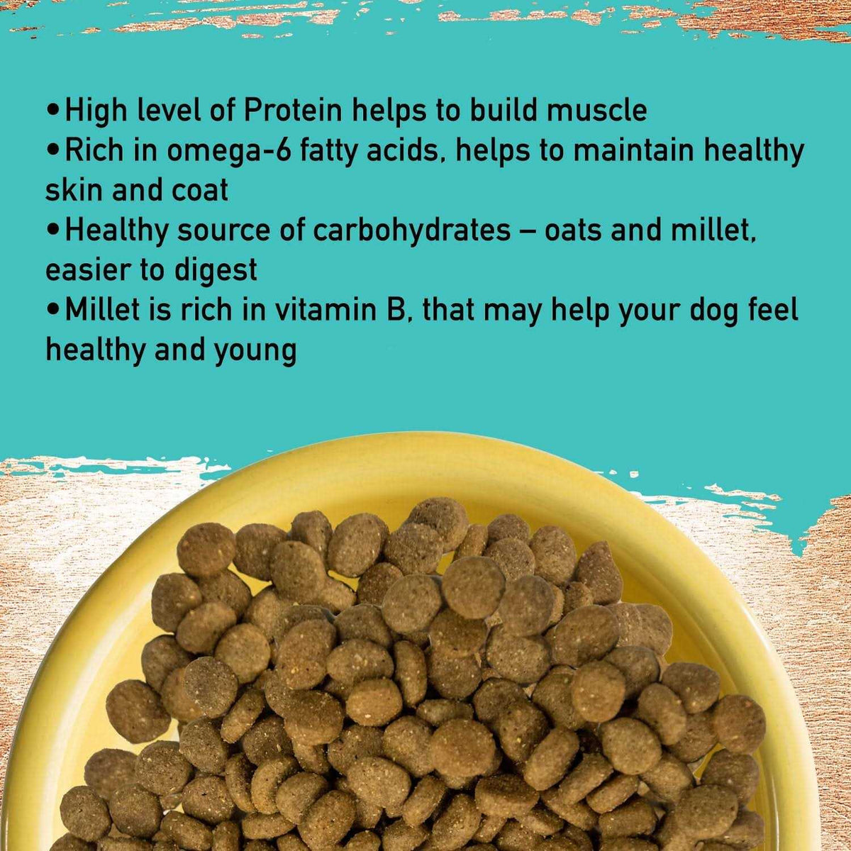 Dog Food D5807