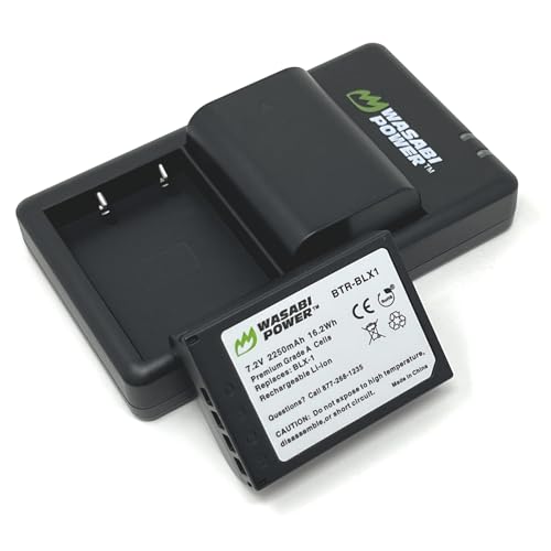 Battery (2-Pack) and USB-C Dual Charger L88560