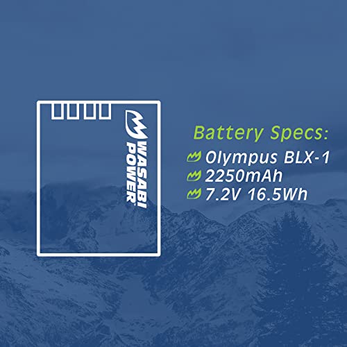 Battery (2-Pack) and USB-C Dual Charger L88560