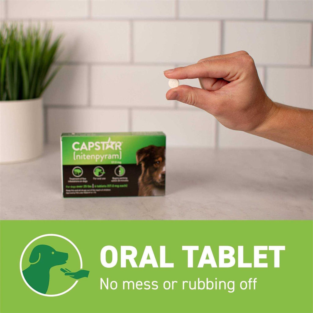Flea Oral Treatment for Dogs C909