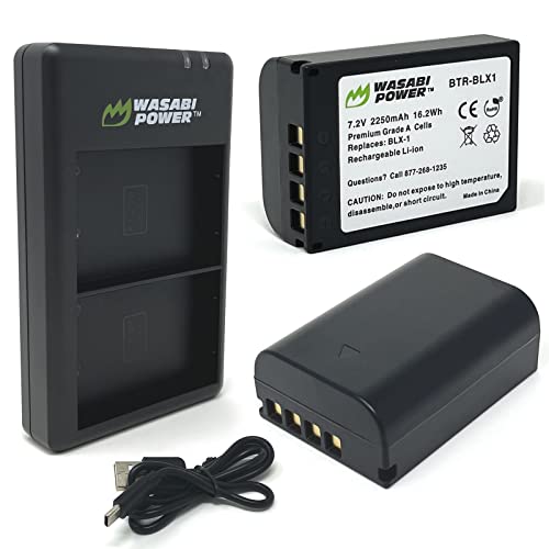 Battery (2-Pack) and USB-C Dual Charger L88560