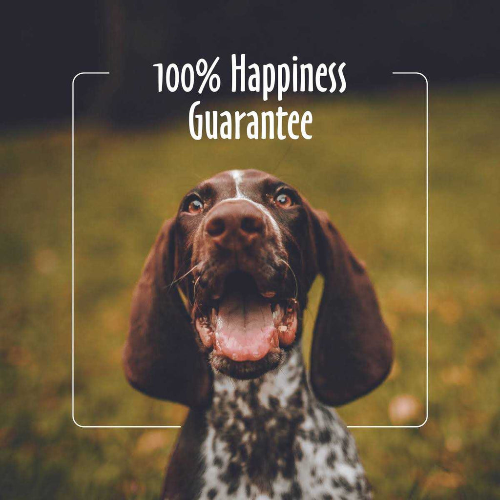 Facial Wipes for Dogs & Cats L5328